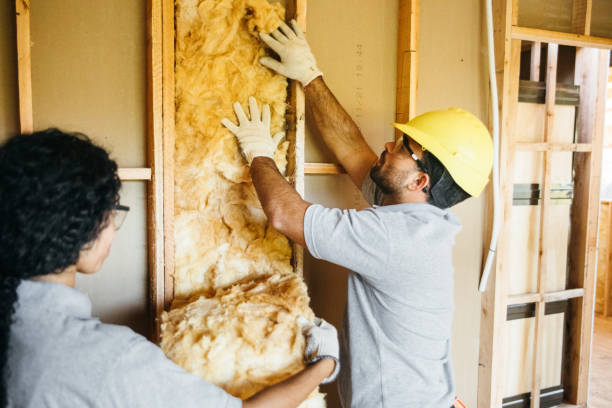 Best Eco-Friendly Insulation Solutions  in Sardis City, AL